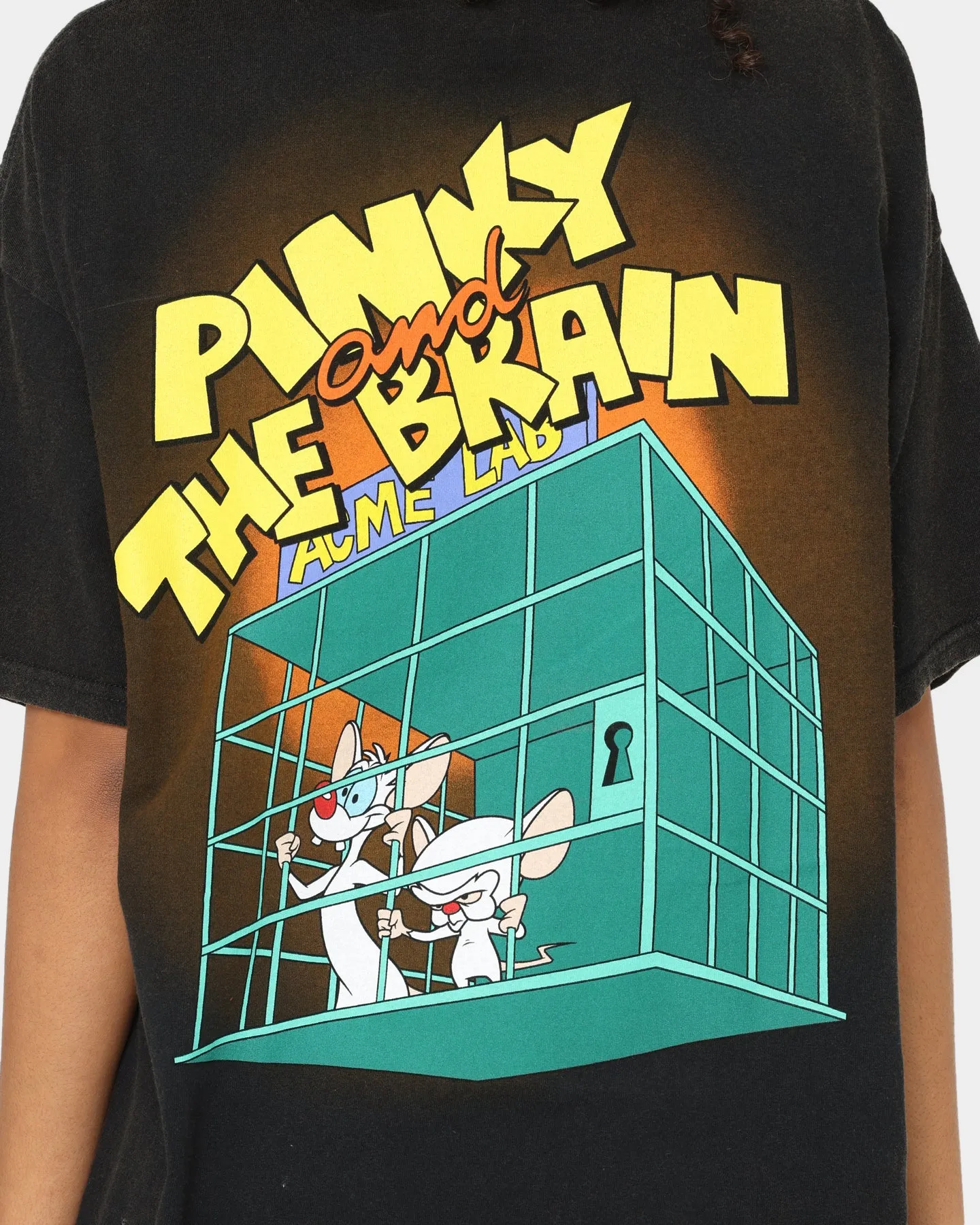 American Thrift X Pinky And The Brain Pinky And The Brain Vintage T-Shirt Black Wash