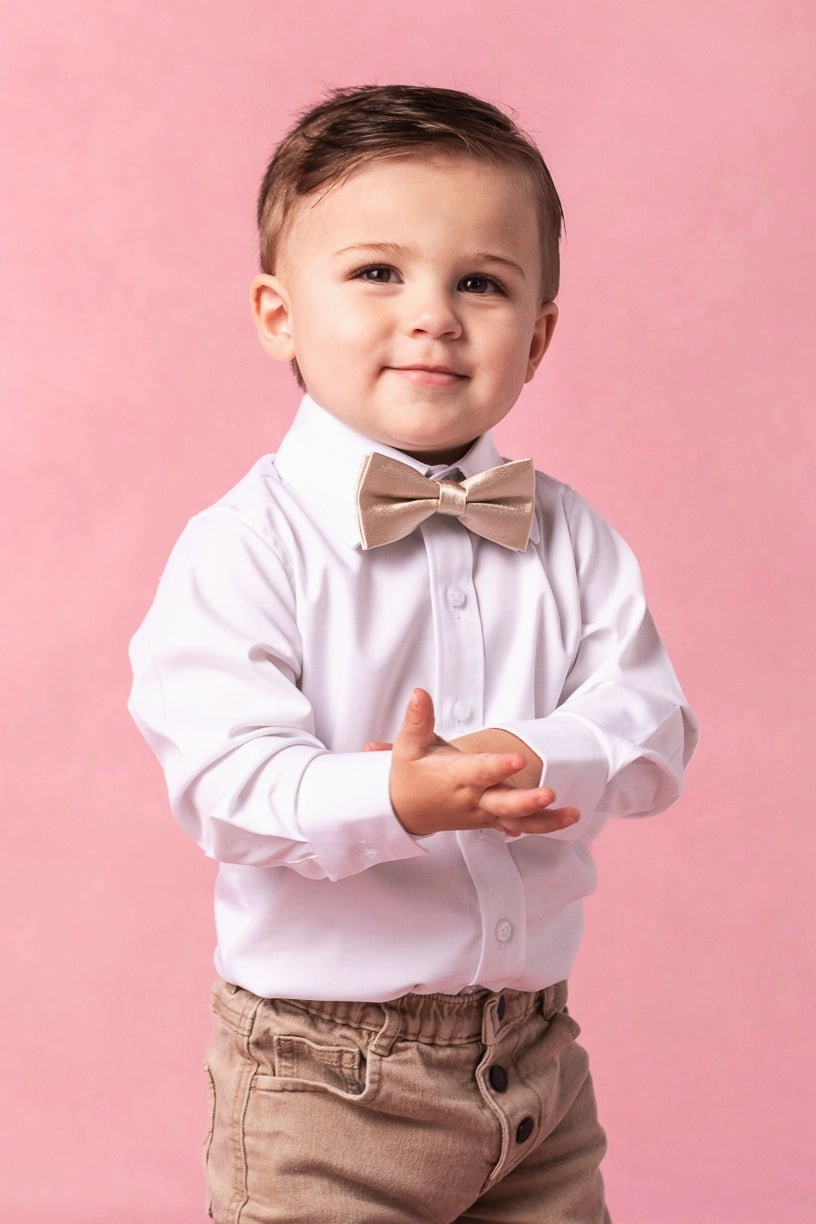 Baby Boys Henry Bow Tie in Champagne