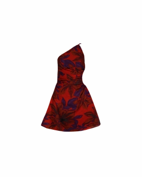 BETTINA MINI DRESS SAMBA