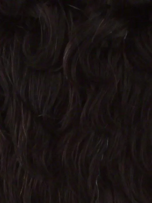 Kimora by Vivica Fox | African American Lace Front Wig