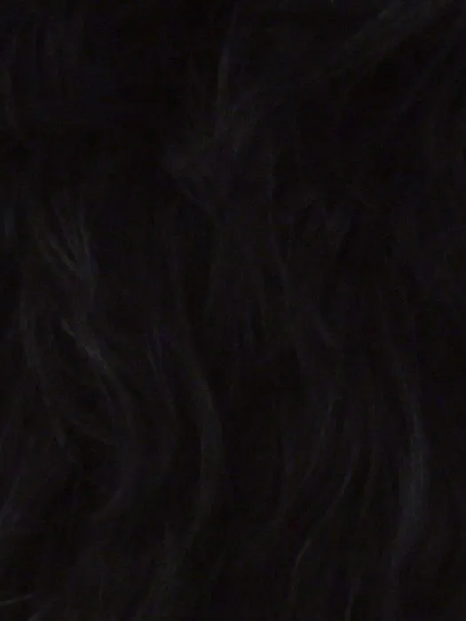 Kimora by Vivica Fox | African American Lace Front Wig