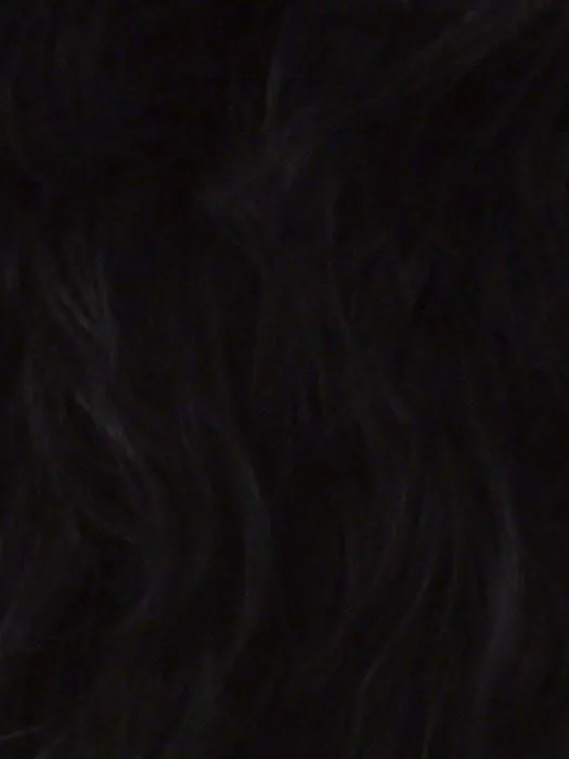 Kimora by Vivica Fox | African American Lace Front Wig