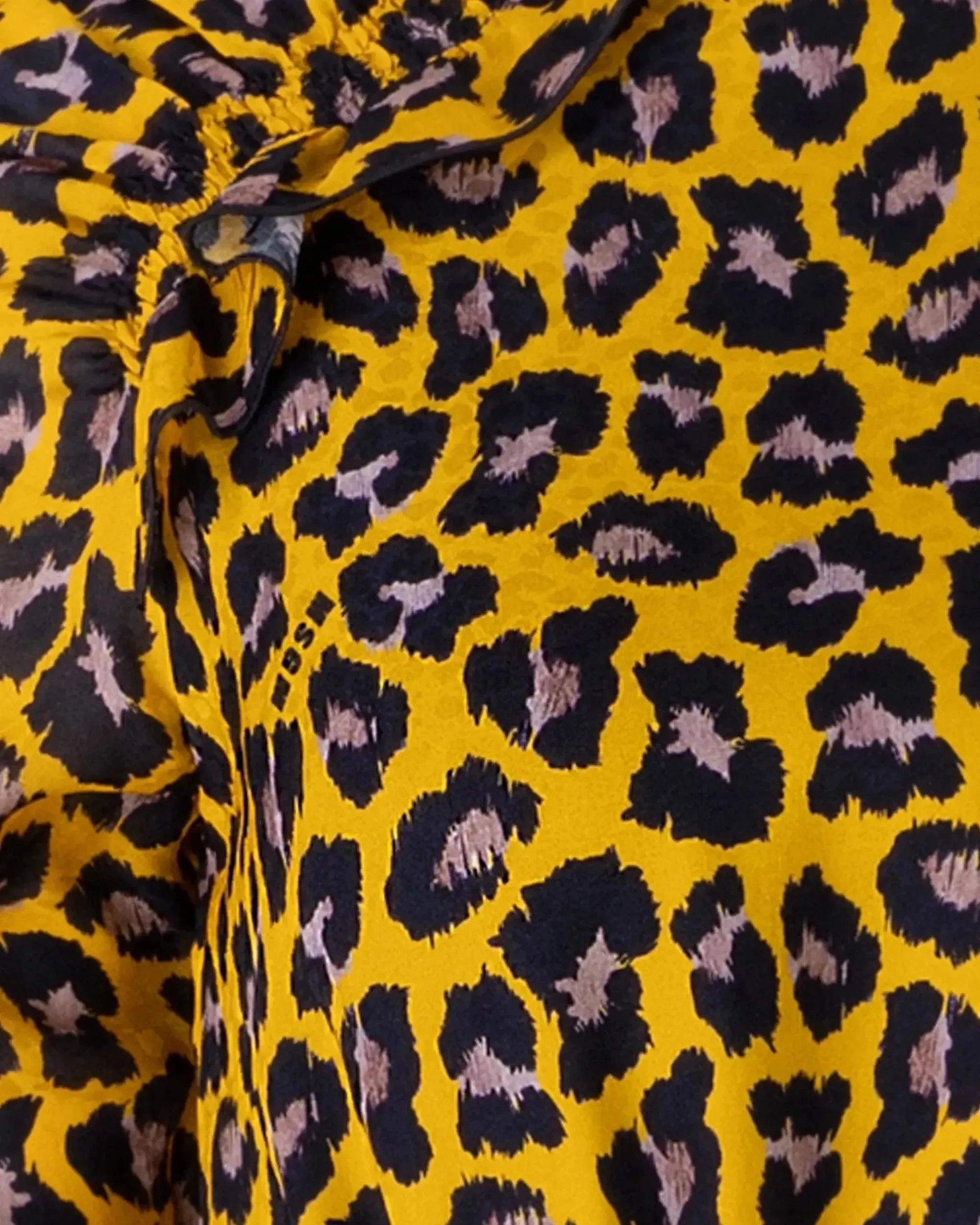Leopard Print Mini Dress